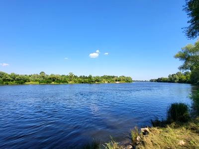 ділянка за адресою Трояндова