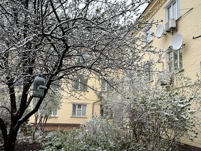 квартира по адресу Карела Чапека ул. (Юліуса Фучика), 5