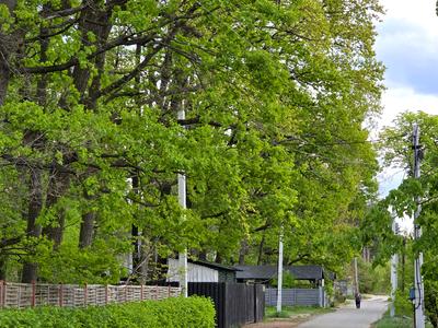участок по адресу пгт. Ворзель, Кичеївська