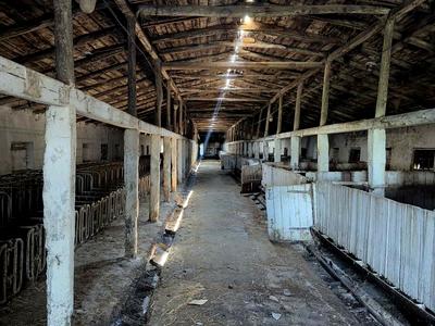 комерційна за адресою с. Тишківка, Героїв України вул., 150