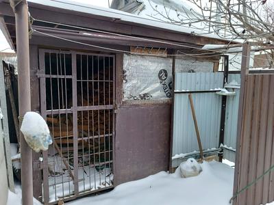 будинок за адресою Ставищанська вул.