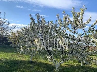 участок по адресу с. Белогородка, Октябрьская ул., 103