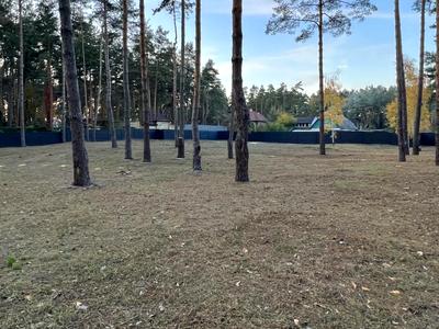 участок по адресу с. Романков, Сосновый Бор ул.