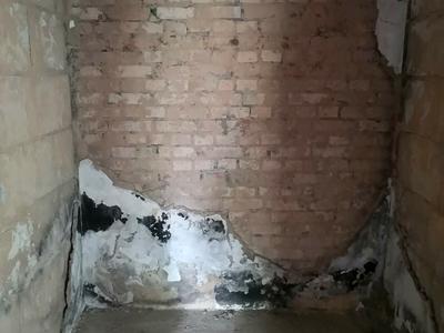 квартира по адресу Высокая ул., 3в