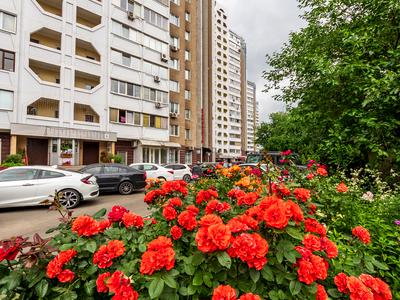 квартира за адресою Харківське шосе, 56