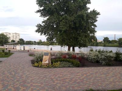 квартира за адресою Дніпровська набережна вул., 11-А