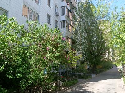 квартира по адресу Евгения Коновальца ул. (Щорса), 15 к3