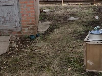 дом по адресу Ашгабадська ул., 25