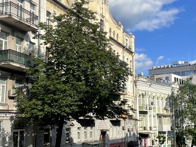 квартира за адресою Михайлівська вул., 18-А