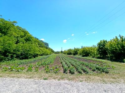 участок по адресу Будівельна, 2А