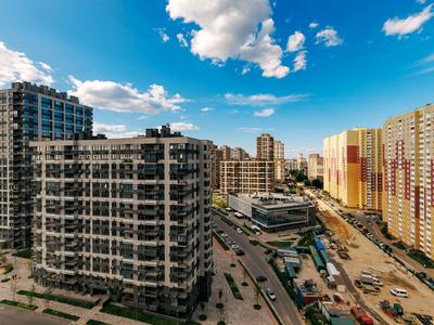 квартира за адресою Олександра Олеся вул., 1
