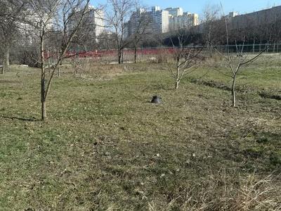 участок по адресу Чорторийська ул. (Седова), 7