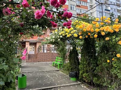 квартира за адресою Олександри Екстер вул. (Марини Цвєтаєвої), 3