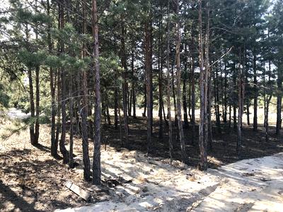 ділянка за адресою Петра Сагайдачного
