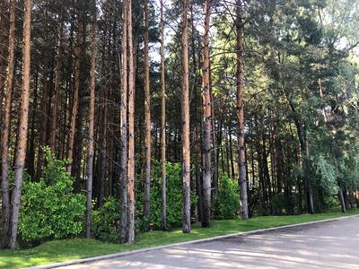 будинок за адресою Петра Сагайдачного, 50