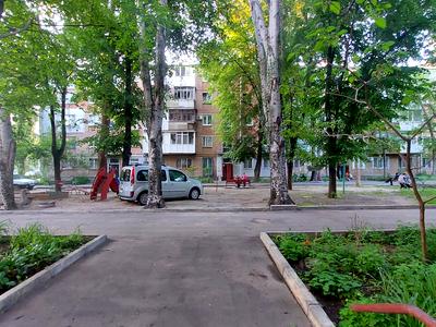 квартира за адресою Ігоря Бедзая вул. (Чкалова), 99