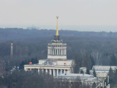 квартира по адресу Юлии Здановской ул. (Ломоносова), 81-Б