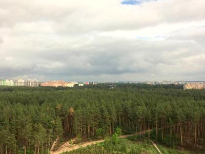 квартира за адресою Університетська вул., 1д