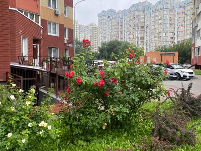 квартира по адресу Юлии Здановской ул. (Ломоносова), 85-Б