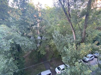 квартира за адресою Пилипа Орлика вул., 22/2
