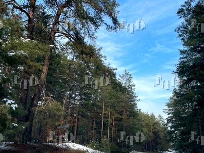 будинок за адресою Озерна