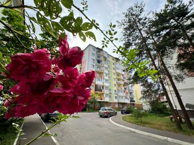 квартира по адресу Бучанское шоссе, 14-А