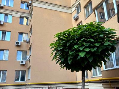 квартира по адресу с. Софиевская борщаговка, Леси Украинки ул., 28