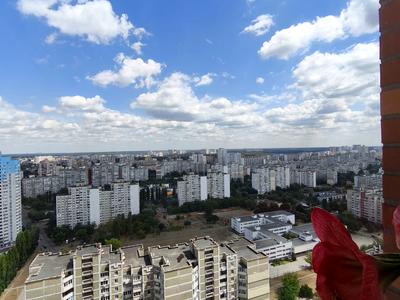 квартира по адресу Ревуцкого ул., 9