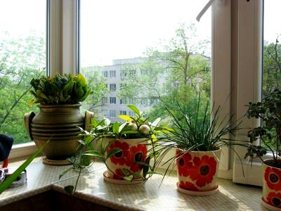 квартира по адресу Профессора Подвысоцкого ул., 6-А
