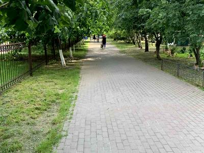 квартира за адресою Урловськая, 11А