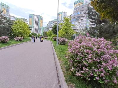 квартира по адресу Вишгородська, 45