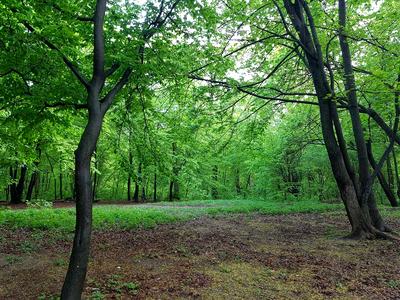 будинок за адресою Гомельський пров., 9