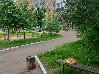 квартира за адресою Бучанське шосе, 9