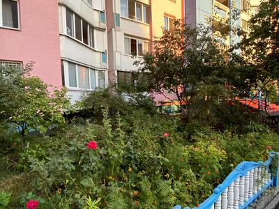 квартира по адресу Червоной Калины просп. (Владимира Маяковского), 91-В