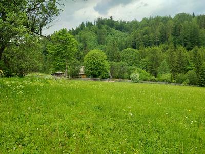 ділянка за адресою с. Кривопілля, коротеньке
