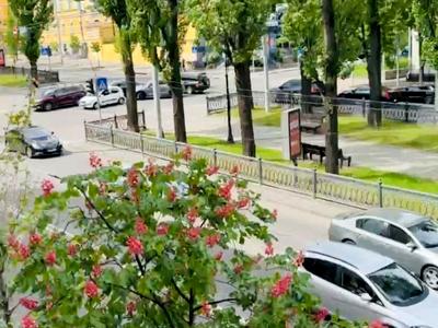 квартира по адресу Терещенковская ул., 7/13