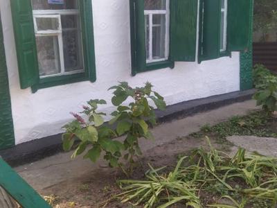 будинок за адресою с. Новоолександрівка, Українська