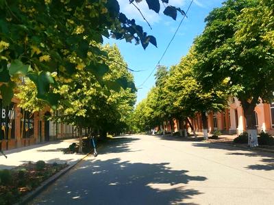 квартира за адресою Шульгіних вул., 10