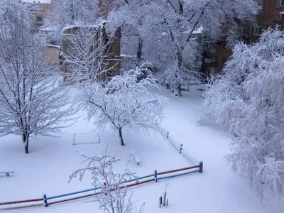 квартира по адресу Бехтеревский пер., 10
