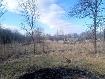 ділянка за адресою Лірницька вул. (Сільрадська)