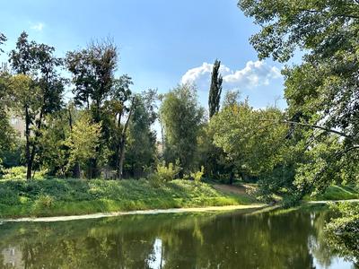 квартира по адресу Самойло Кошки ул. (Маршала Конєва), 10/1
