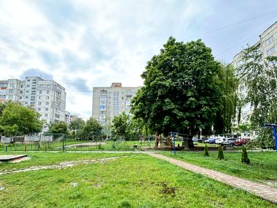 квартира за адресою Любачівського, 9