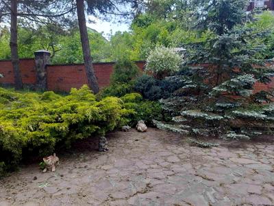 будинок за адресою Вербова вул., 41