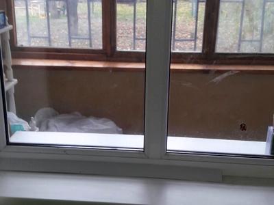 квартира за адресою Центральна, 7