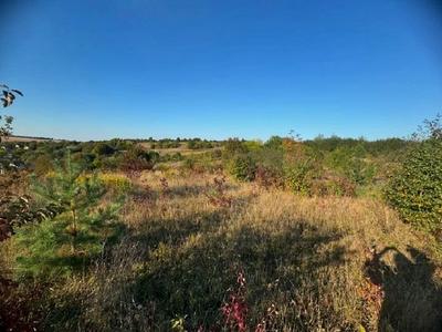 ділянка за адресою Малашівці СТ-Дружба