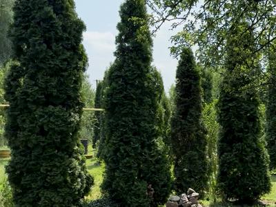будинок за адресою Садова, 99