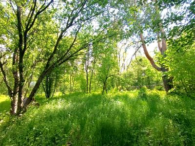 будинок за адресою Ходосіївські сади