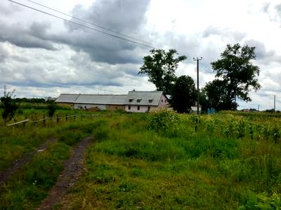 участок по адресу с. Княжичи, Требухівська