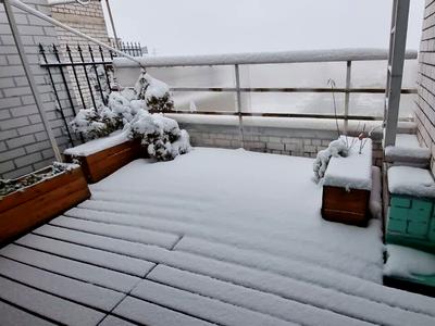 квартира за адресою Петра Калнишевського вул. (Михайла Майорова), 7
