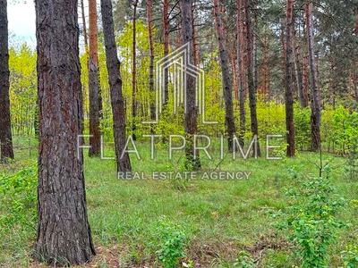 участок по адресу с. Тарасовка, 